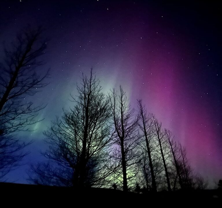 Private Northern Lights Tour – A Magical Arctic Escape