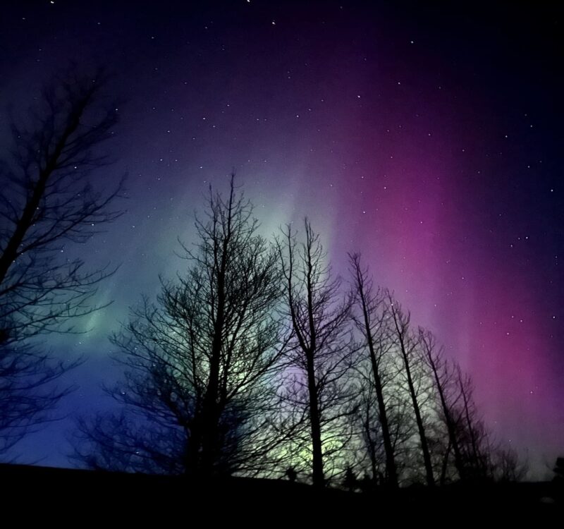 Private Northern Lights Tour – A Magical Arctic Escape